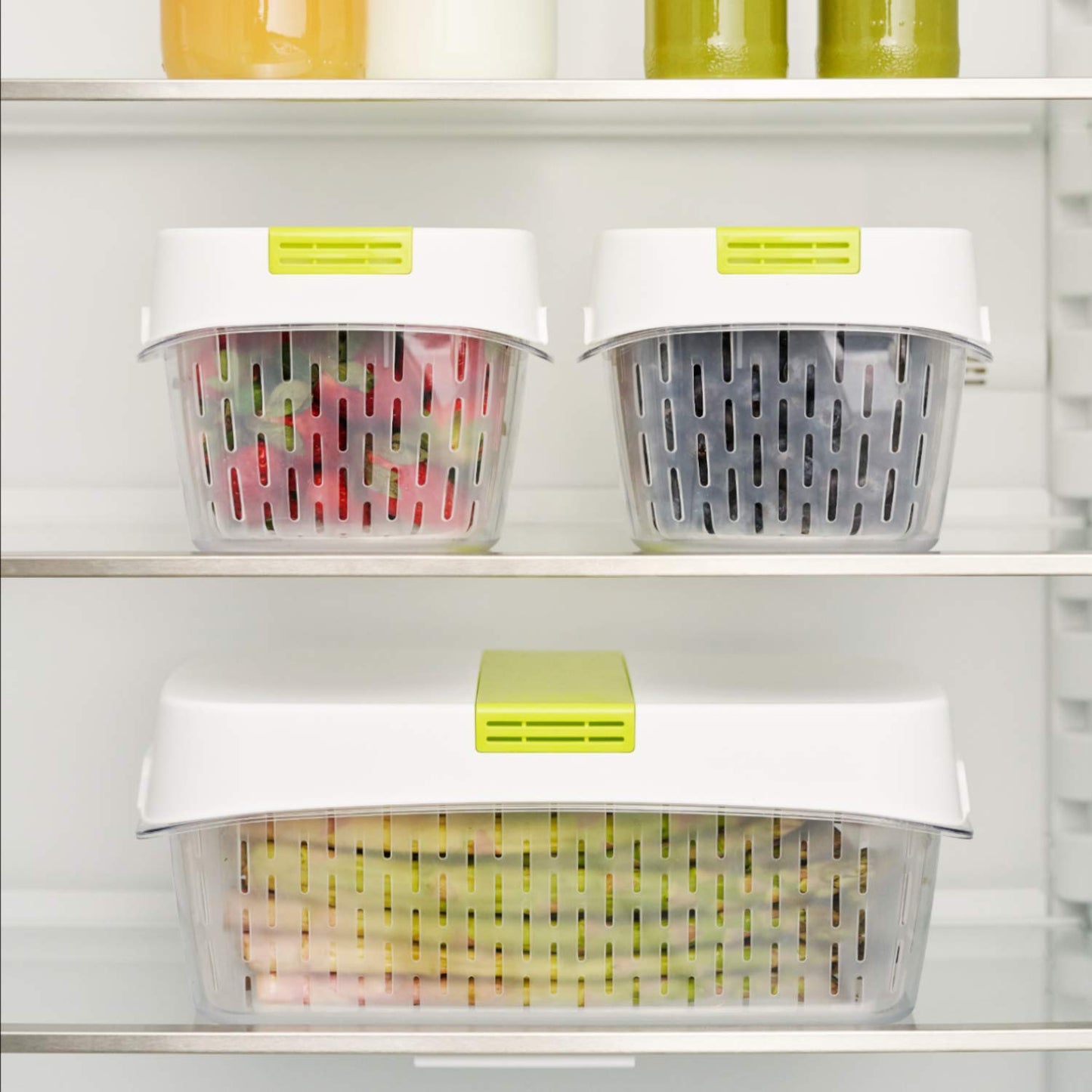 Pojemnik Dynamic 1,6 L
FRESH