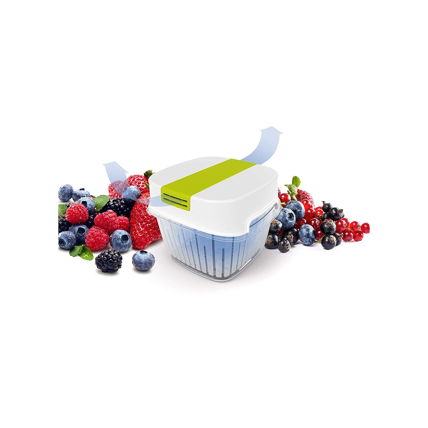 Dynamic Box 1,6 l FRESH