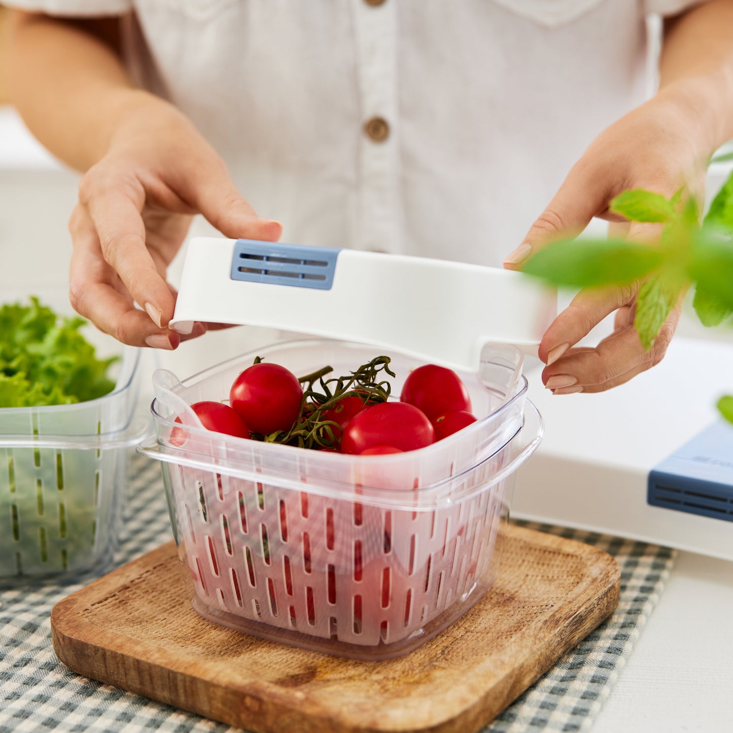 Pojemnik Dynamic 1,6 L 
FRESH