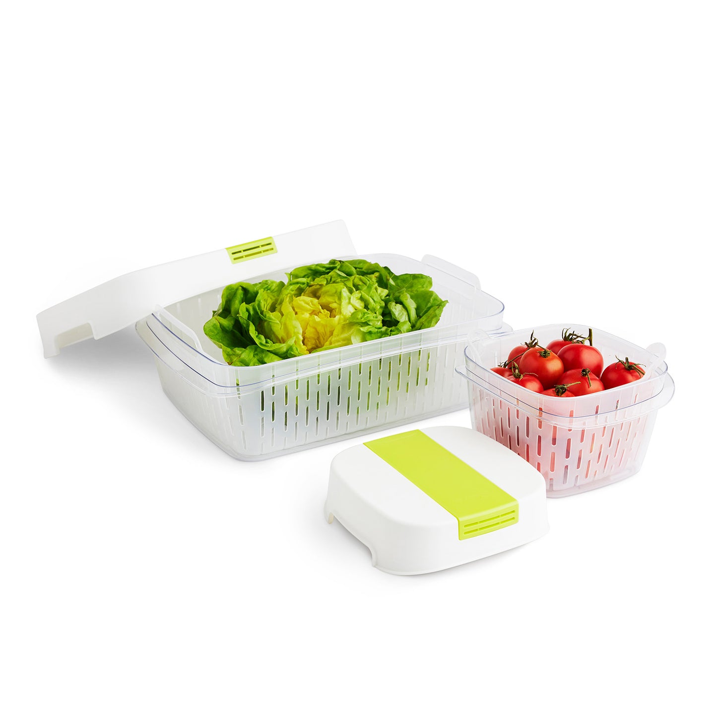 Dynamic Box 1,6 l FRESH