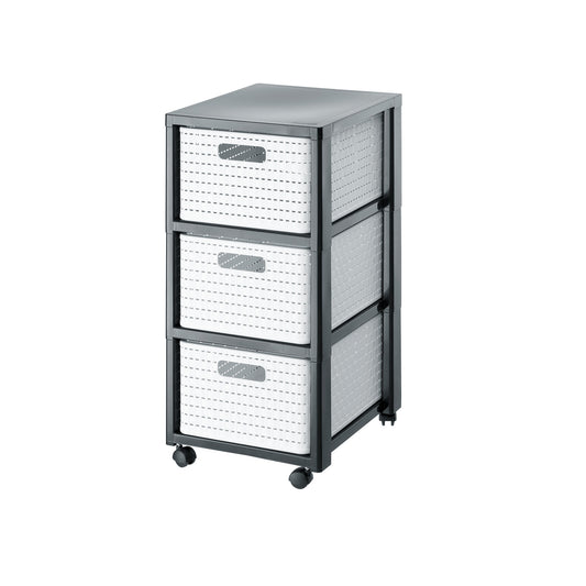 3 х А4 шафа на колесах КАНТРІ